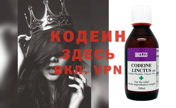 индика Арсеньев